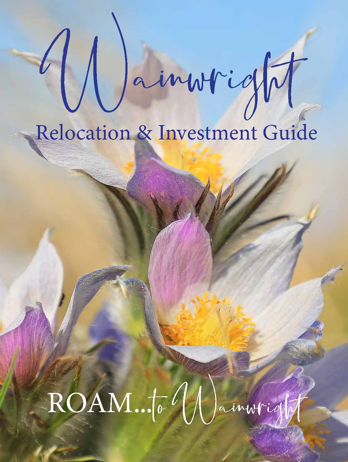 Relocation and Investment Guide Cover