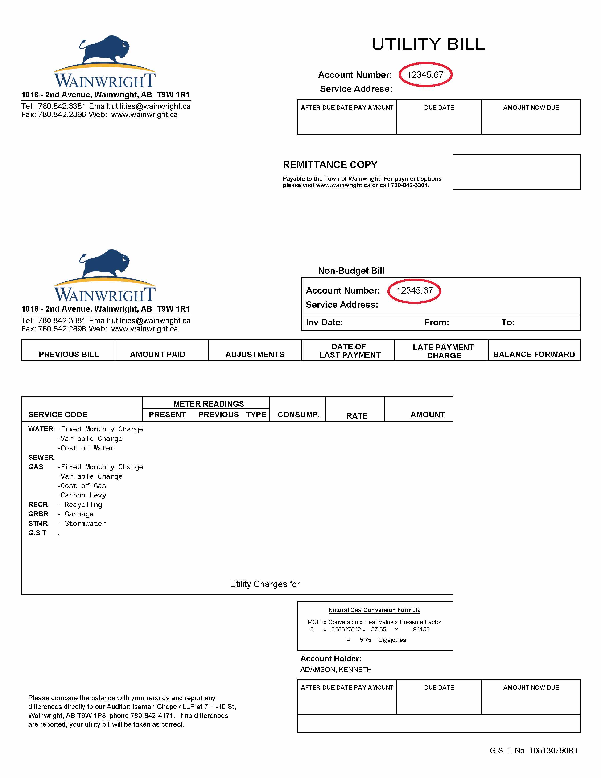 Sample Utility Bill